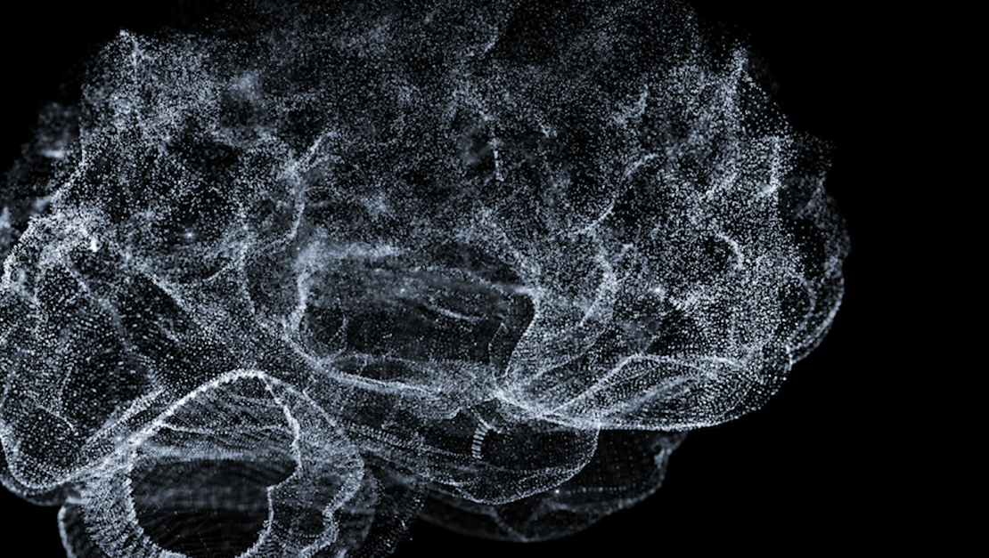 Stages of Life under Super Wide Angle